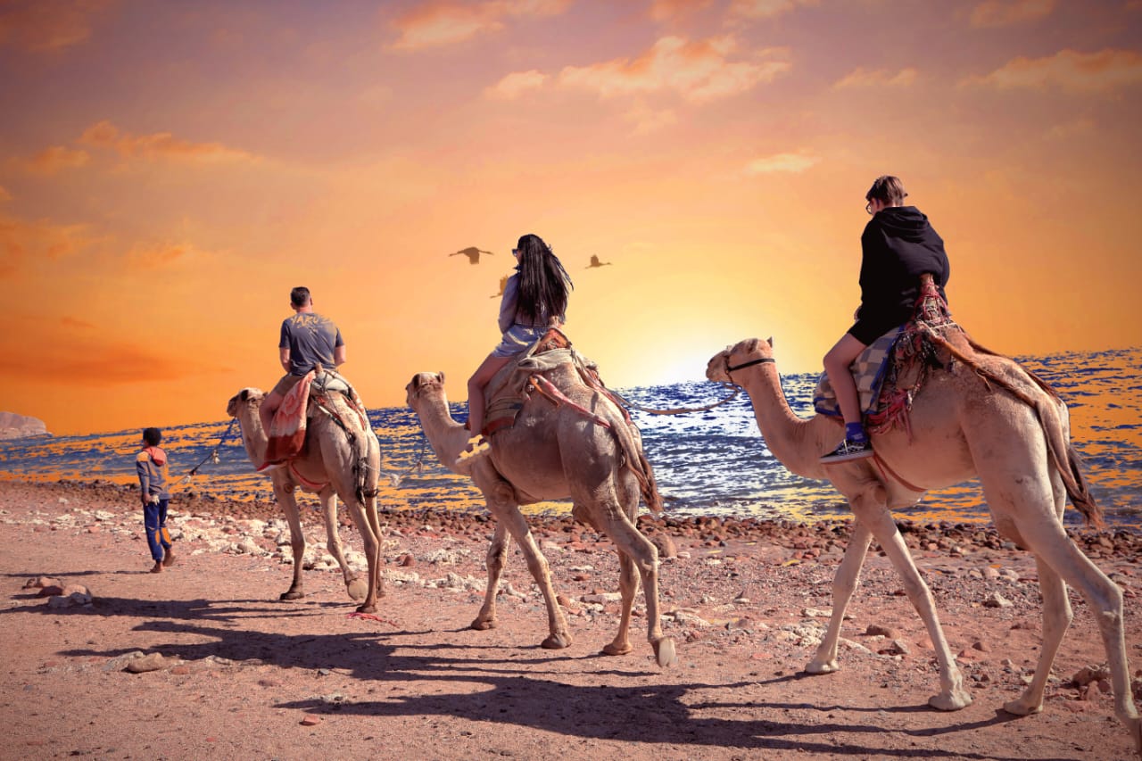 camel riding on the beach in dahab